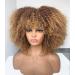 Annivia Ombre Blonde Afro Short Kinky Curly Wig with Bangs | 14 Inch for Black Women - Buy Online on GoSupps.com