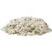 Aqueon Princess Castle Aquarium Kit - 1/2 Gallon - Dreamy Underwater Kingdom - Buy Online on GoSupps.com