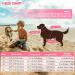 Emust Dog Life Jacket - Adjustable Safety Vest for Small/Medium/Large Dogs - Pink - Water Safety Pet Life Vest with Rescue Handle for Swimming & Beach - Buy Online on GoSupps.com