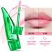 3PCS Mrettick Aloe Vera Lip Gloss Set - Long Lasting Nutritious Lip Balm for Lip Treatment - Moisturizing Lip Oil for Dry Lips - Color Changing Tinted Lipstick Balm - Buy Online on GoSupps.com