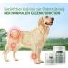 AniForte Calcium Powder for Dogs and Cats 100g - Natural Source of Calcium Supports Bones and Teeth Eggshell Powder for Barfen High Bioavailability Lab Tested - Buy Online on GoSupps.com