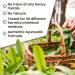 Ivy's Mukta Vati Ayurvedic Herbal Supplement - Pack of 4 - Buy Online on GoSupps.com