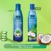 Buy Parachute Hair Oil with Aloe Vera - 250ml | Nourish & Repair Hair | Fast International Shipping - Buy Online on GoSupps.com