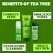 Tea Tree Face Wash Set Contains Foaming Face Wash Skin Cleanser Facial Scrub and Toner for a Soothing and Hydrating Skin Care - Buy Online on GoSupps.com
