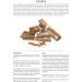 Mum's Premium Cinnamon Sticks - 50g | Cassia Sticks for Cooking and Baking - Buy Online on GoSupps.com
