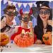 ifundom 2pcs halloween pumpkin pose outdoor faux plants car model home decoration glass collectible squat glass pumpkin funny halloween decorations Durable Pumpkins Ornament reward mini Orangex2pcs 13x10.5cmx2pcs - Buy Online on GoSupps.com