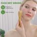 AIFEIVICO 4 Pack Dry Brushing Set with Long Handle Shower Brush - Natural Boar Bristles for Lymphatic Drainage and Cellulite Reduction - Buy Online on GoSupps.com
