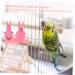 Angoily Parrot Flight Suit & Outfit - Nymphensittich Ara Vogel Pipi-Pad for Pets | Best Windel & Clothing Set for Parrots - Size S 4M - Buy Online on GoSupps.com