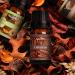 SALKING Autumn Fragrance Oils Gift Set - Essential Oils for Fall Soaps, Candles - Cinnamon, Pumpkin Spice, Apple Cider, Vanilla, Forest Pine, Snickerdoodle - Buy Online on GoSupps.com