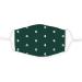 Shop Top of the World NCAA Michigan State Spartans Face Mask 2-Pack - Unisex Team Color Forest Green One Size - Buy Online on GoSupps.com
