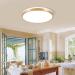 Horevo 30cm Bluetooth Ceiling Lamp - Dimmable & Color-Changing Remote Control 24W Champagne Gold Light & Speaker for Kids Room and Bedroom - Buy Online on GoSupps.com
