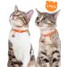 Taglory Reflective Cat Collar with Safety Clasp & Bell | Adjustable 2-Pack for Kittens & Cats (19-32cm Orange) - Buy Online on GoSupps.com