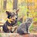 AniForte MultiVitamin MultiVETAL Powder 100g - Natural Vitamin Supplement for Dogs & Cats - Buy Online on GoSupps.com