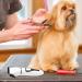BESPORTBLE Pet Clipper - Cordless Dog & Cat Hair Trimmer | Electric Pet Hairstyling Tools Beauty Kit - Buy Online on GoSupps.com