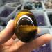Specimen Dark Yellow Tiger Eye Quartz Crystal Egg 5cm - Buy Online on GoSupps.com