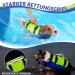 Shop Eyin Life Jackets for Small Dogs | Size-Adjustable Reflective Tear-Resistant Swimming Vest - Blue & Yellow - Buy Online on GoSupps.com