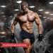 Westwood Fox Fitness Gloves | Breathable Weightlifting & Crossfit Gloves for Men & Women - Gym & Bodybuilding Essentials - Buy Online on GoSupps.com