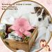Puppy Milk Feeder Bowl 240ml with 4 Teats | Silicone Puppy Bottles for Nursing Multiple Puppies | Dog Kitten Nursing Set with Nipples - Pink - Buy Online on GoSupps.com