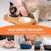 Avont Cat Cone Collar Soft Adjustable Pet Recovery Collar for Cats Kittens Puppies After Surgery Elizabethan Neck Cone of Shame Alternative to Prevent Licking Biting Protect Wounds -Pink (S) Pink Small - Buy Online on GoSupps.com