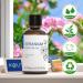 HIQILI Geranium Oil Essential 30ML - 100% Natural Aromatherapy Oil for Face, Candle Making, Diffuser, Skin & Hair - 1 Fl Oz (Pack of 1) - Buy Online on GoSupps.com