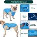 Kuoser Cool Vest for Dogs - XL Blue Cooling Jacket & Ventilated Coat for Outdoor Activities - Buy Online on GoSupps.com