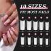 Nail Tips for Gel Nails Venares 500 Pieces Acrylic Artificial Nails 10 Sizes Nail Tips with Glue Nails Files Nail Clippers Cuticle Pusher Acrylic Artificial Nail Tips Set (Natural) - Buy Online on GoSupps.com