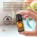 Ecodrop Allergy Essential Oil Blend - 10ml | Pure Therapeutic Grade Aromatherapy for Decongestion & Hay Fever Relief - Buy Online on GoSupps.com