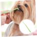 WOONEKY 1pc Pet Single Head Toothbrush Dog Toothpaste Cat Toothbrush Cleaning Kit Manual Plastic Care Brush - Buy Online on GoSupps.com