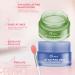 MEICOLY Blueberry Lip Sleeping Mask - Intense Hydration Overnight Lip Treatment for Dry Chapped Lips - 0.7oz - Buy Online on GoSupps.com