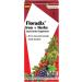 Flora Floradix Iron + Herbs Liquid Supplement 8.5 fl oz - Boost Your Energy & Health - Buy Online on GoSupps.com