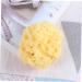 Beavorty 1pc Bath Sponge Sponge for Bathing Mesh Balls Sponge Sponges for Bathing Bath Sponges for Shower Seaweed Sponge Honeycomb Bath Ball Algae Sponge Body Sponge - Buy Online on GoSupps.com