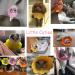 Lanyihome Cat Recovery Collar - Adjustable Cute Flower Neck Elizabethan Collars for Cats, Kittens, Puppies, Rabbits - Pack of 2 (Small Yellow+Pink) - Buy Online on GoSupps.com