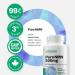 Vitasave NEW! 90 Count 500mg Pure Nicotinamide Mononucleotide NMN Supplement - 99.6% NAD+ Supplement - Vitamin B3 Enriched Antioxidant Support For Energy Cellular Repair & Anti-aging | 90 Vegan Capsules - Non-GMO GMP Certified - Made In Canada 90 count (P - Buy Online on GoSupps.com