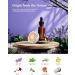 8-Pack Aromatherapy Shower Steamers - Pure Essential Oil Shower Bombs for Home Spa, Stress Relief & Relaxation - Bath Gifts for Women, Mom, Birthday, Valentine's Day - Travel Size - Buy Online on GoSupps.com