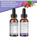 GREENPEOPLE Kidney Cleanse Detox & Repair - 27-In-1 Kidney & Liver Drops with 20:1 Cranberry Extract & Chanca Piedra, Alcohol-Free Supplement for Urinary Tract & Liver Support (2 Oz 1 Pack, Blueberry) Blueberry 2 Fl Oz (Pac  - Buy Online on GoSupps.com