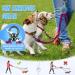 Slowton Adjustable Double Dog Leash - 360 Rotatable Reflective No Splinters for Small Dogs (3-9 kg) - Rose Red - Buy Online on GoSupps.com