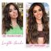 Invisible Wire Hair Extensions - Thinner Softer Lace Weft, Adjustable Size, Removable Clips, Wavy Hairpiece for Women 12 Inch - Ash Blonde Highlights - Buy Online on GoSupps.com