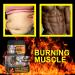 STRAIGHT Abs Sculpting Cream Abdominal Muscle Enhancer Fat Burner Cream Fat Burner Cream Strengthens Pectoral Muscle Vest Line for Men and Women 120g Abdominal Muscle Cream 01 - Buy Online on GoSupps.com