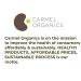 CARMEL ORGANICS Herbal Hair Cleanser - 100% Natural Soapnut Shikakai Amla & Aloe Vera Powder | Chemical & Fragrance Free | 8 Ounce - Buy Online on GoSupps.com