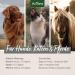 AniForte Linseed Oil for Horses & Dogs 5L - Cold-Pressed Omega 3 & 6 Supplement for BARF Diet - Buy Online on GoSupps.com