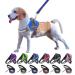 Moonpet Personalized No Pull Dog Harness Leash Set with Custom Name and Phone Number Heavy Duty Pet Vest to Prevent Tugging Pulling or Choking Training and Walking (XS-XXL 9 Colorful) 6 color