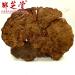 Wild Growth Cyan Ganoderma lucidum/Lucid Ganoderma/lingzhi 35.3 Oz. - Buy Online on GoSupps.com