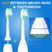 4 Pack Replacement Toothbrush Heads for Philips Sonicare ProtectiveClean 4100 5100 6100 - White - Compatible with DiamondClean, EasyClean, PowerUp - Improve Gum Health - HX6817/01 HX6857/11 - BrightDeal - Buy Online on GoSupps.com