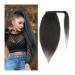 Bun Hair Pieces for Women Shaggy Ponytail Brazilian Real Hair Wrapping Ponytail Hair Extensions Hair Slices 8-24 Inch Barrette Wigs for Women Messy Bun Hair Piece (Color : Wrap Around Size : 24inch