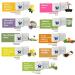 Organic Bath Bombs Gift Set - 9 French Style Fizzies with Natural Colors and Essential Oils - Buy Online on GoSupps.com