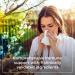 Synergy Holistics | Immune Synergy - Immune Support Supplement - 9 Clinically Validated Ingredients Astragalus Elderberry Eldermune Andrographis PANICIN Zinc & Sunfiber - 90 Veg Caps - Buy Online on GoSupps.com