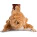 Petface Freddie Fox Cat Toy - Interactive and Fun Playtime for Your Feline Friend - Buy Online on GoSupps.com
