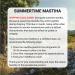 Buy Pure Chios Mastiha Mastic Greek Chewing Gum | 20g - Natural Calorie-Free Jaw Strengthening Alternative - Buy Online on GoSupps.com