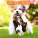 Bojafa Squeaky No Stuffing Dog Toys - 2 Pack Plush Soft Dogs Toy Indestructible For Small Medium Large Dogs Durable Tough Puppy Toys Bundle Cuddly Chew Proof Pet Toys - Buy Online on GoSupps.com