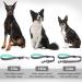 Vivaglory Short Dog Leash - 46 cm Training Line for Medium & Large Dogs | Durable Gray Design - Buy Online on GoSupps.com